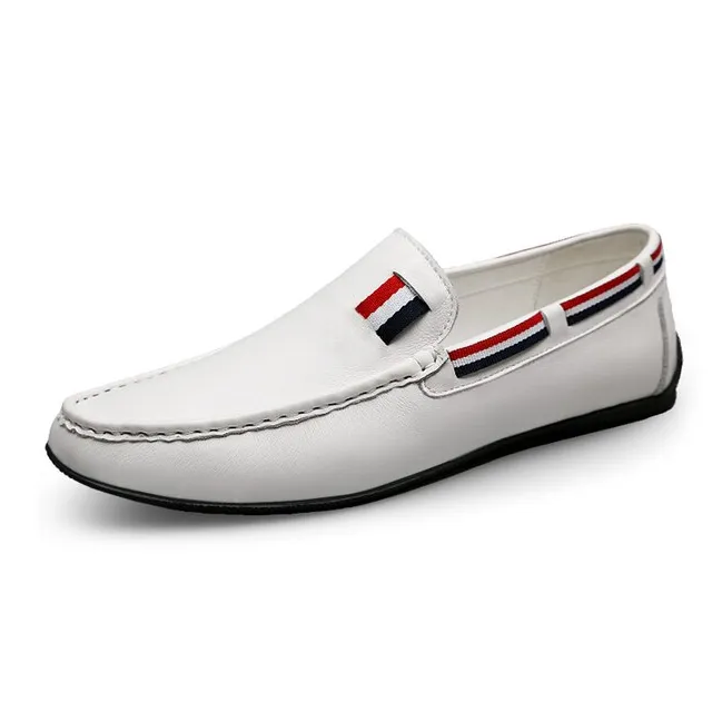 Emidio Men's Loafer Shoes