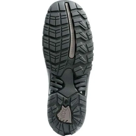 Steel Blue Darwin - 311401